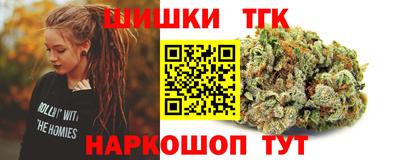 СК Дубна