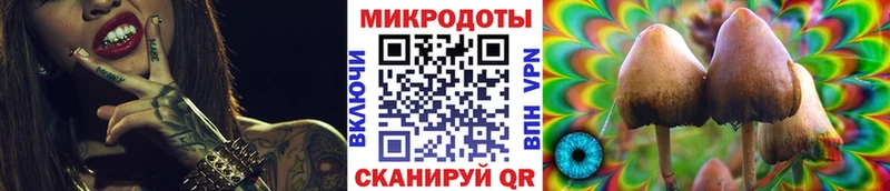 Галлюциногенные грибы Psilocybine cubensis Назрань