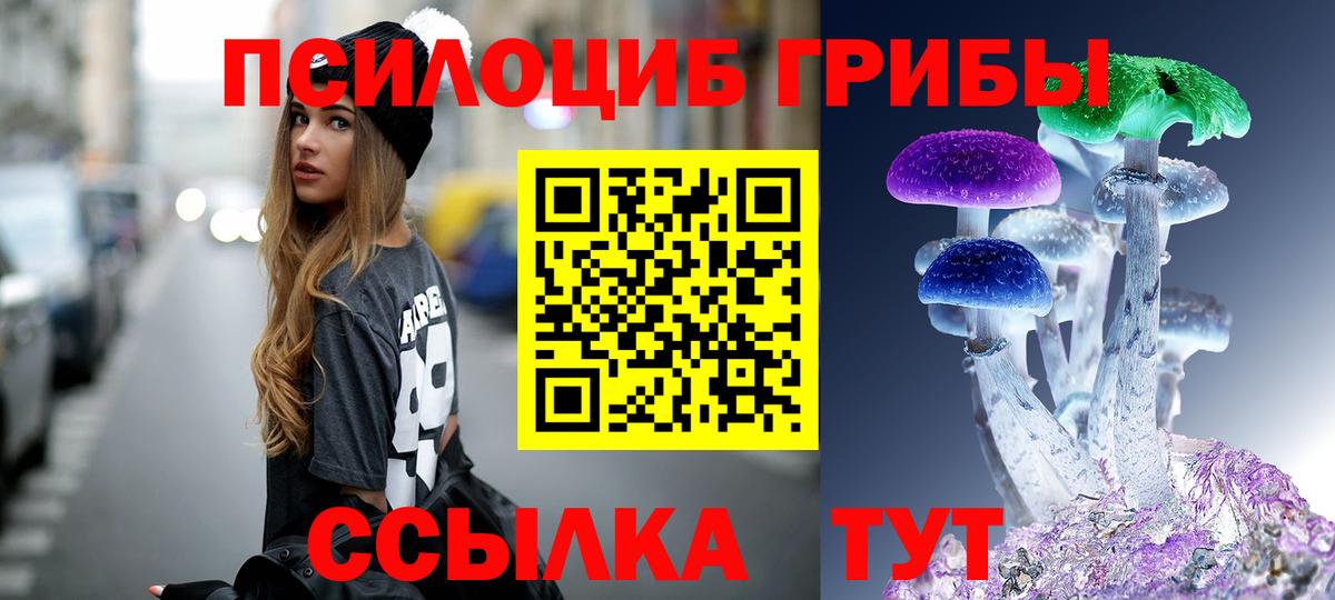 Назрань  хочу   Вход с VPN  Псилоцибиновые грибы мухоморы 