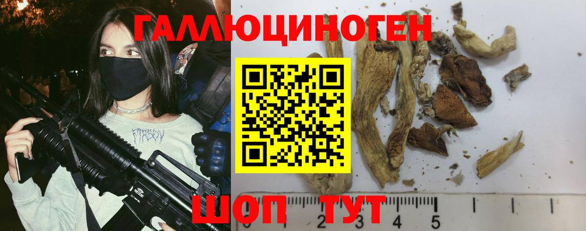 Галлюциногенные грибы Cubensis Назрань